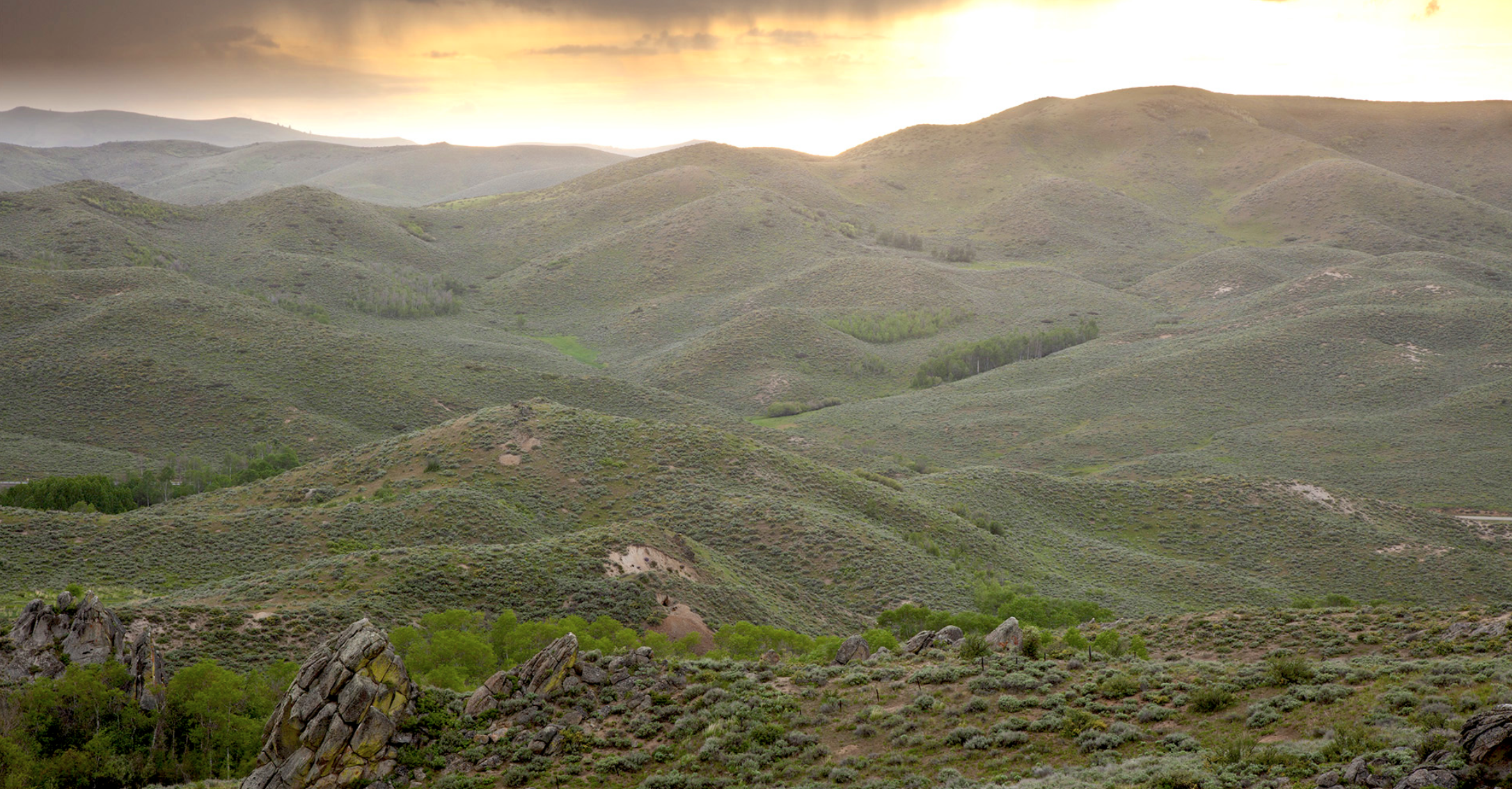Sagebrush sea extends to the horizon